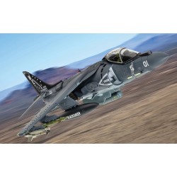 1/48 MCDONNELL DOUGLAS AV-8B HARRIER II - 165001/01 - VMA-214 'BLACK SHEEP' 1/48 MCDONNELL DOUGLAS AV-8B HARRIER II - 165001/01 - VMA-214 'BLACK SHEEP'
