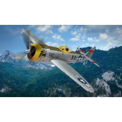 1/72 REPUBLIC P-47D THUNDERBOLT DOTTIE MAE 42-29150 K4-S 410TH FG 511TH FS