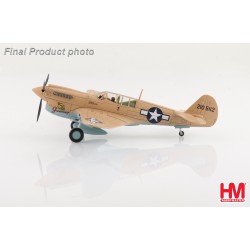 1/72 P-40N WARHAWK GERONIMO LT. BRUCE CAMPBELL 45TH FS DEC 1943 HA5511