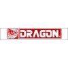Dragon Kits