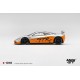 1/64 MCLAREN F1 GTR 1995 PRESENTATION