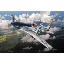1/32 NORTH AMERICAN P-51D MUSTANG, 'CRIPES A'MIGHTY', GEORGE PREDDY, 1944