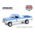 1/64 BLUE COLLAR COLLECTION SERIES 14 - 1991 FORD F-250  XL - CHEVRON 35300-D