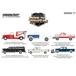 GL46170 - 1/64 DUALLY DRIVERS SERIES 17 -  (6 CAR SET) 6 PCS ASSORTMENT