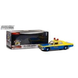 1/24 HOT PURSUIT SERIES 5 1974 DODGE MONACO NEW YORK STATE POLICE 1/24 HOT PURSUIT SERIES 5 1974 DODGE MONACO NEW YORK STATE POLICE