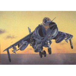 1/72 SEA HARRIER FRS.1 FALKLANDS 1/72 SEA HARRIER FRS.1 FALKLANDS