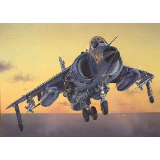 1/72 SEA HARRIER FRS.1 FALKLANDS