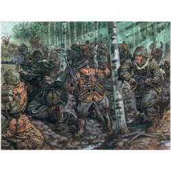 1/72 WWII GERMAN ELITE TROOPS (PLASTIC KIT) 1/72 WWII GERMAN ELITE TROOPS (PLASTIC KIT)