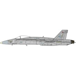 1/72 F/A-18C HORNET U.S. NAVY VFA-81 SUNLINERS, DESERT STORM, 1991 1/72 F/A-18C HORNET U.S. NAVY VFA-81 SUNLINERS, DESERT STORM, 1991