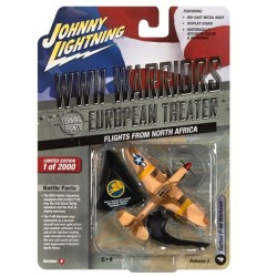 1/64 WW2 CURTIS P-40 WARHAWK FLIGHTS FROM N AFRICA JLML008 B