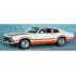 1/24 FORD MAVERICK GRABBER ORANGE AND WHITE