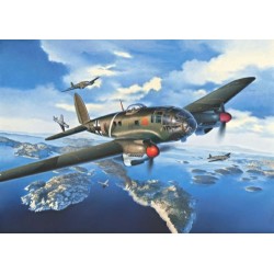1/32 HEINKEL HE 111P-1 (PLASTIC KIT)