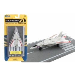 DARON RUNWAY24 F-14 TOMCAT RW110