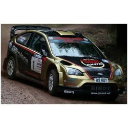 SUNH3982 - 1/18 FORD FOCUS RS WRC 08 NO.1 P.BIRD AND A.DAVIES WINNER WYEDEAN FOREST RALLY SUNH3982 - 1/18 FORD FOCUS RS WRC 08 NO.1 P.BIRD AND A.DAVIES WINNER WYEDEAN FOREST RALLY