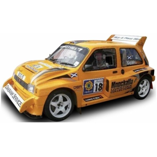 SUNH5547 - 1/18 MG METRO 6R4 NO.18 D.BOGIE/E.SHERRY TOPAZ - DONEGAL INTERNATIONAL RALLY 2010 SUNH5547 - 1/18 MG METRO 6R4 NO.18 D.BOGIE/E.SHERRY TOPAZ - DONEGAL INTERNATIONAL RALLY 2010