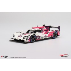 TOP SPEED 1/18 CADILLAC DPI-V.R NO.48 ALLY RACING 2022 IMSA DAYTONA 24HRS TS0429 TOP SPEED 1/18 CADILLAC DPI-V.R NO.48 ALLY RACING 2022 IMSA DAYTONA 24HRS TS0429
