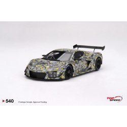 1/18 CORVETTE Z06 GT3.R 2022 SEBRING TEST CAR