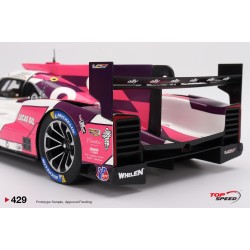 TOP SPEED 1/18 CADILLAC DPI-V.R NO.48 ALLY RACING 2022 IMSA DAYTONA 24HRS TS0429 TOP SPEED 1/18 CADILLAC DPI-V.R NO.48 ALLY RACING 2022 IMSA DAYTONA 24HRS TS0429