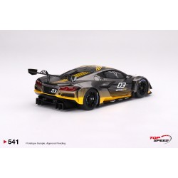1/18 CORVETTE Z06 GT3.R 2023 DAYTONA PRESENTATION TS0541