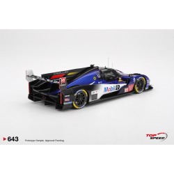 1/18 CADILLAC V-SERIES.R NO.101 CADILLAC WAYNE TAYLOR RACING 2025 LE MANS 24 HRS