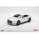 1/18 BENTLEY BATUR BONNEVILLE PEARL