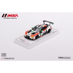 1/43 BMW M4 GT3 NO.1 PAUL MILLER RACING IMSA 2023 SEBRING 12 HRS GTD WINNER (RESIN)