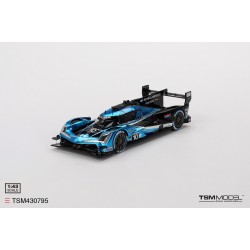 1/43 ACURA ARX-06 GTP NO.10 WAYNE TAYLOR RACING WITH ANDRETTI TSM430795