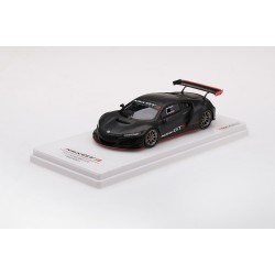 1/43 HONDA NSX GT3 PRESENTATION 2017